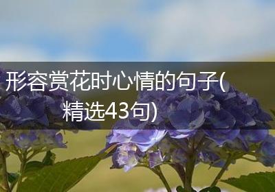 形容赏花时心情的句子(精选43句)