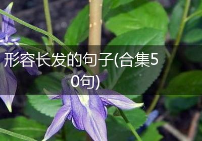 形容长发的句子(合集50句)