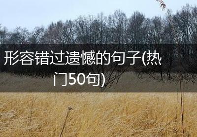 形容错过遗憾的句子(热门50句)