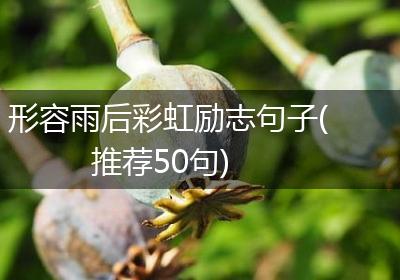 形容雨后彩虹励志句子(推荐50句)