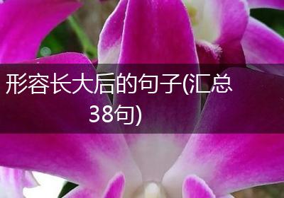 形容长大后的句子(汇总38句)