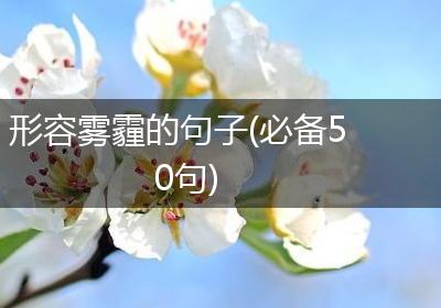 形容雾霾的句子(必备50句)