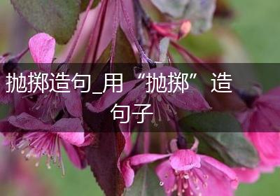 抛掷造句_用“抛掷”造句子