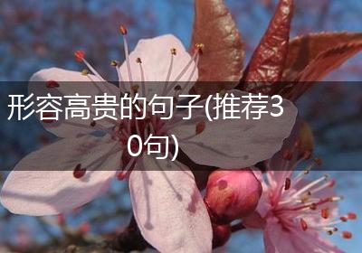 形容高贵的句子(推荐30句)