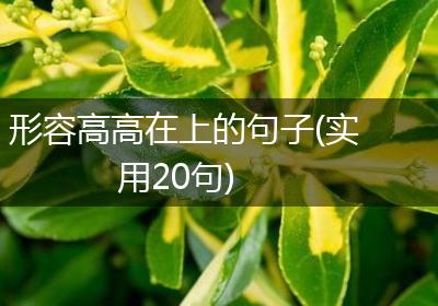 形容高高在上的句子(实用20句)