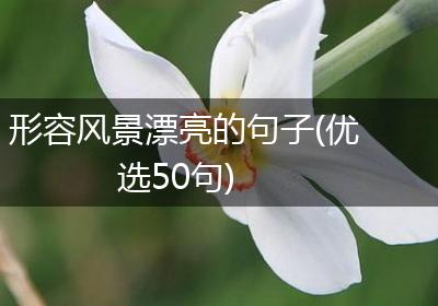 形容风景漂亮的句子(优选50句)