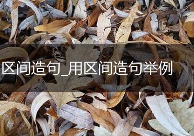 区间造句_用区间造句举例