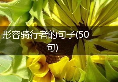 形容骑行者的句子(50句)