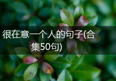 很在意一个人的句子(合集50句)
