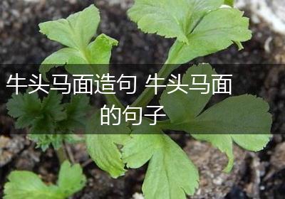 牛头马面造句 牛头马面的句子