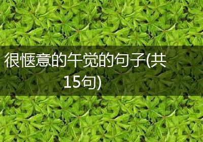很惬意的午觉的句子(共15句)