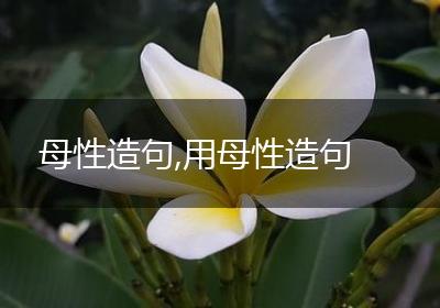 母性造句,用母性造句