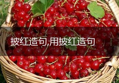 披红造句,用披红造句