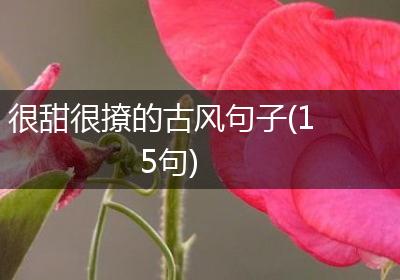 很甜很撩的古风句子(15句)