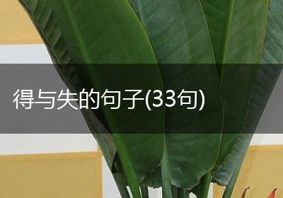 得与失的句子(33句)