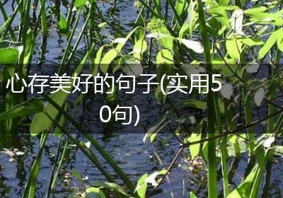 心存美好的句子(实用50句)