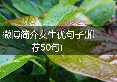 微博简介女生优句子(推荐50句)