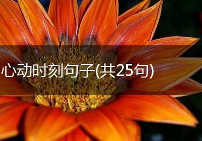 心动时刻句子(共25句)