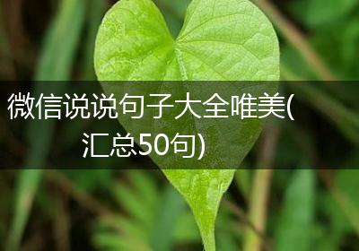 微信说说句子大全唯美(汇总50句)