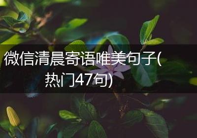 微信清晨寄语唯美句子(热门47句)