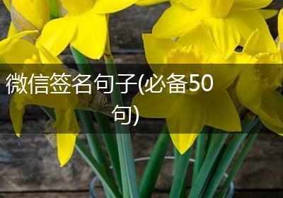 微信签名句子(必备50句)