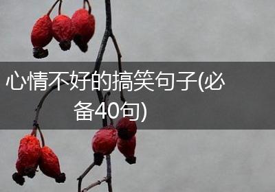 心情不好的搞笑句子(必备40句)