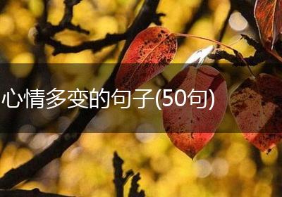 心情多变的句子(50句)
