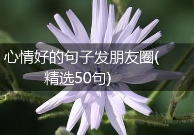 心情好的句子发朋友圈(精选50句)