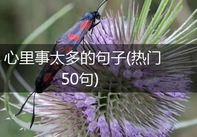 心里事太多的句子(热门50句)