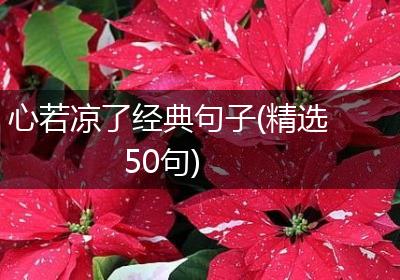 心若凉了经典句子(精选50句)