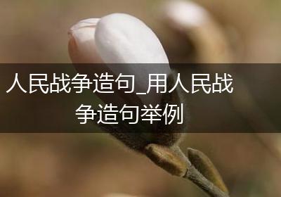 人民战争造句_用人民战争造句举例