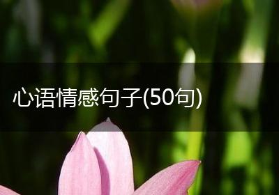 心语情感句子(50句)