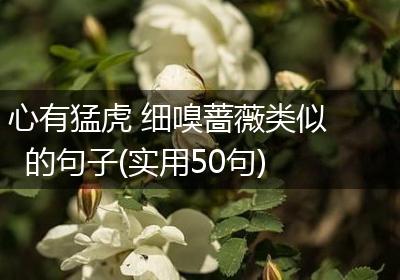 心有猛虎 细嗅蔷薇类似的句子(实用50句)