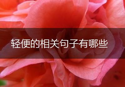 轻便的相关句子有哪些