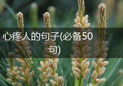 心疼人的句子(必备50句)