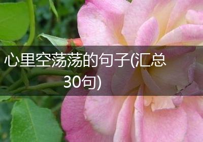 心里空荡荡的句子(汇总30句)