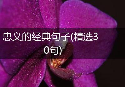 忠义的经典句子(精选30句)