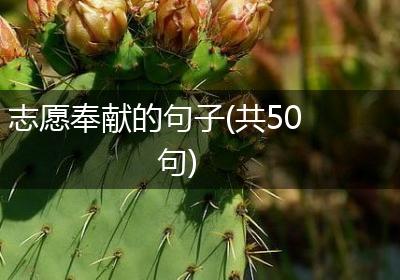 志愿奉献的句子(共50句)