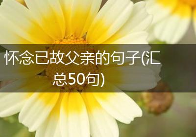 怀念已故父亲的句子(汇总50句)