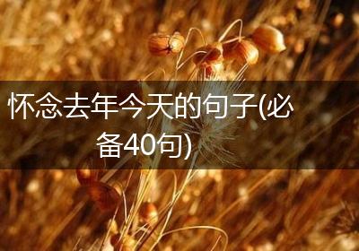 怀念去年今天的句子(必备40句)