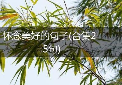 怀念美好的句子(合集25句)