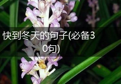 快到冬天的句子(必备30句)
