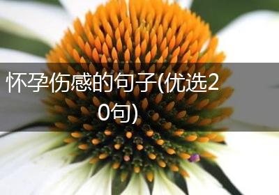 怀孕伤感的句子(优选20句)