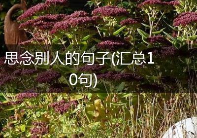 思念别人的句子(汇总10句)