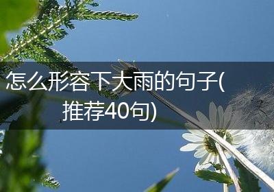 怎么形容下大雨的句子(推荐40句)