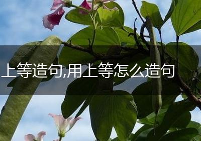 上等造句,用上等怎么造句