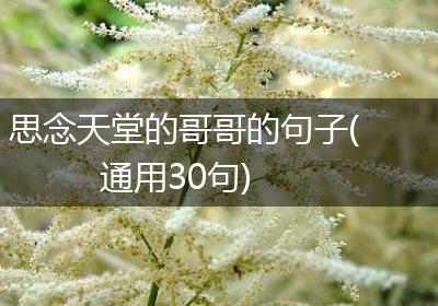 思念天堂的哥哥的句子(通用30句)