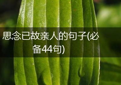 思念已故亲人的句子(必备44句)