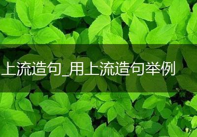 上流造句_用上流造句举例
