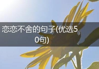 恋恋不舍的句子(优选50句)